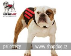 psia ortza WiggleLess L regular, www.shopdog.sk