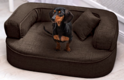 ortopedick pelech, sofa pre psa LOTTE vekos M hned 1 - pohlad 1 - www.shopdog.sk