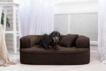 ortopedick pelech, sofa pre psa LOTTE vekos M hned 1 - pohlad 3 - www.shopdog.sk