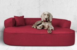 ortopedick pelech, sofa pre psa LOTTE vekos XXL bordo 4 - pohlad 1 - www.shopdog.sk