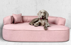 ortopedick pelech, sofa pre psa LOTTE vekos XXL ruov 4 - pohlad 1 - www.shopdog.sk